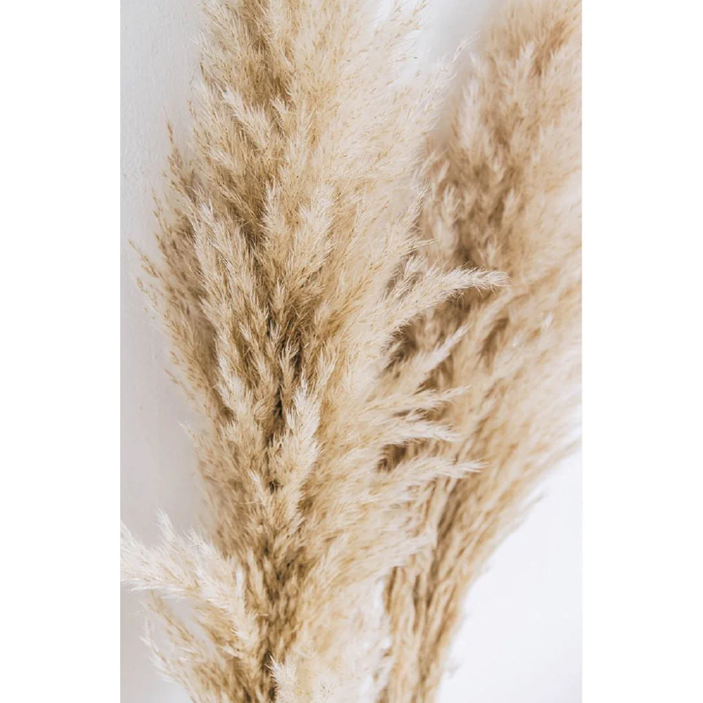 Berlin Pampas