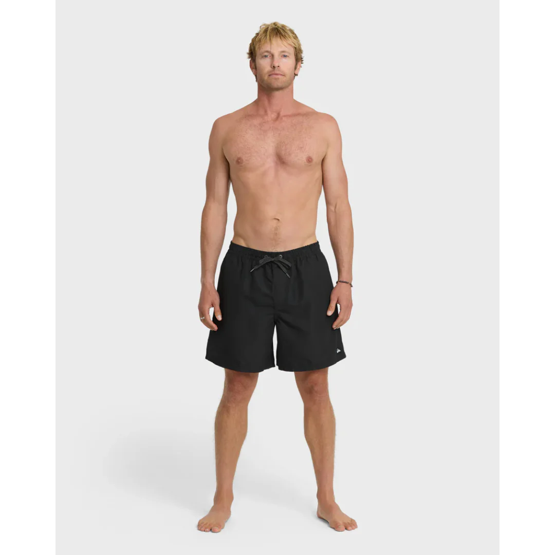 Quiksilver Men's Everyday Mix Volley 17NB - Image 5