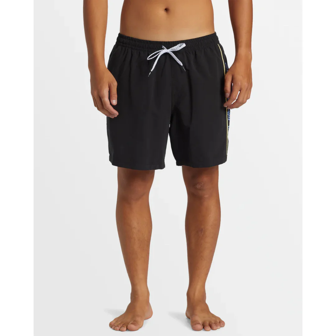 Quiksilver Men's Everyday Vert Volley 2 17NB Shorts - Image 3