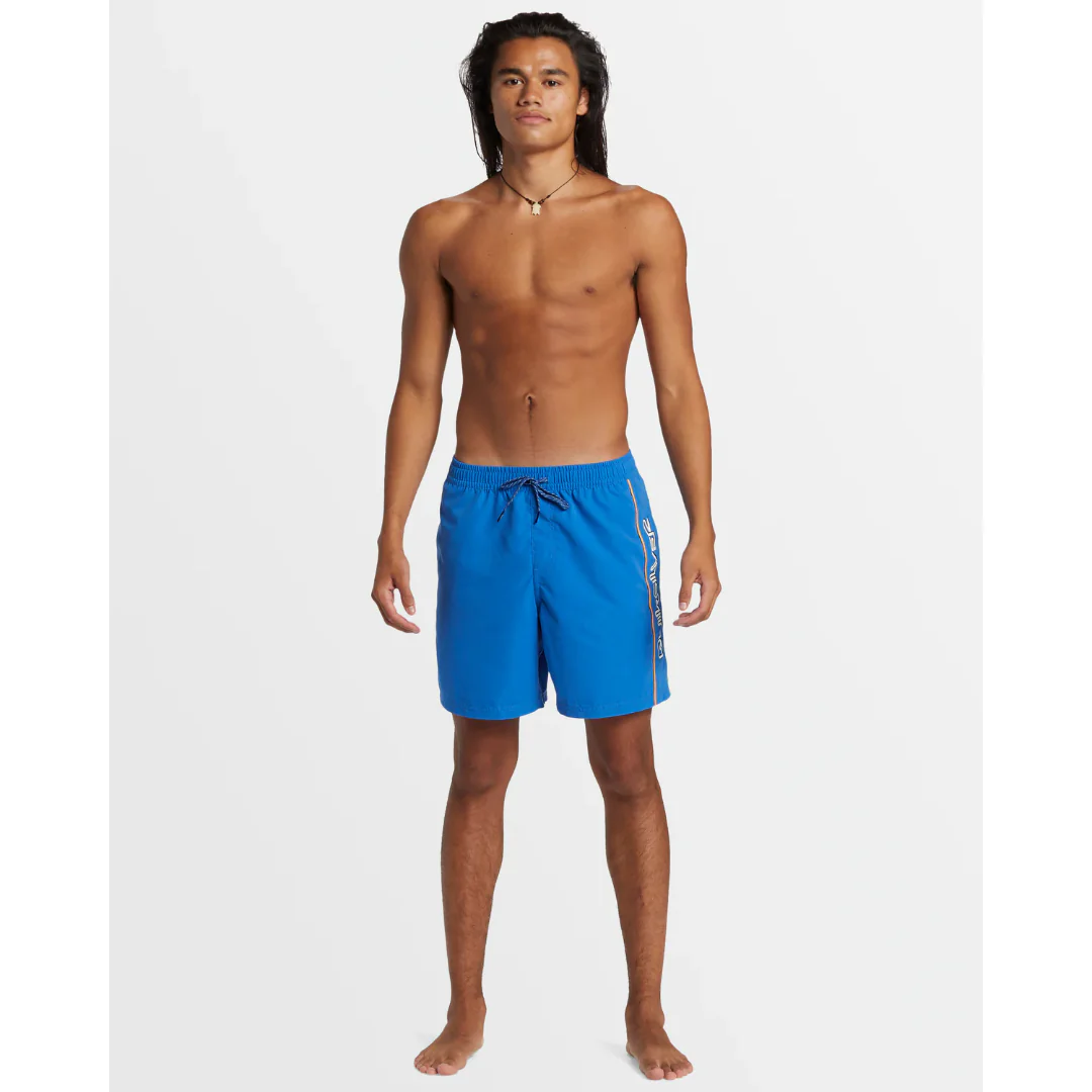 Quiksilver Men's Everyday Vert Volley 2 17NB Shorts - Image 4