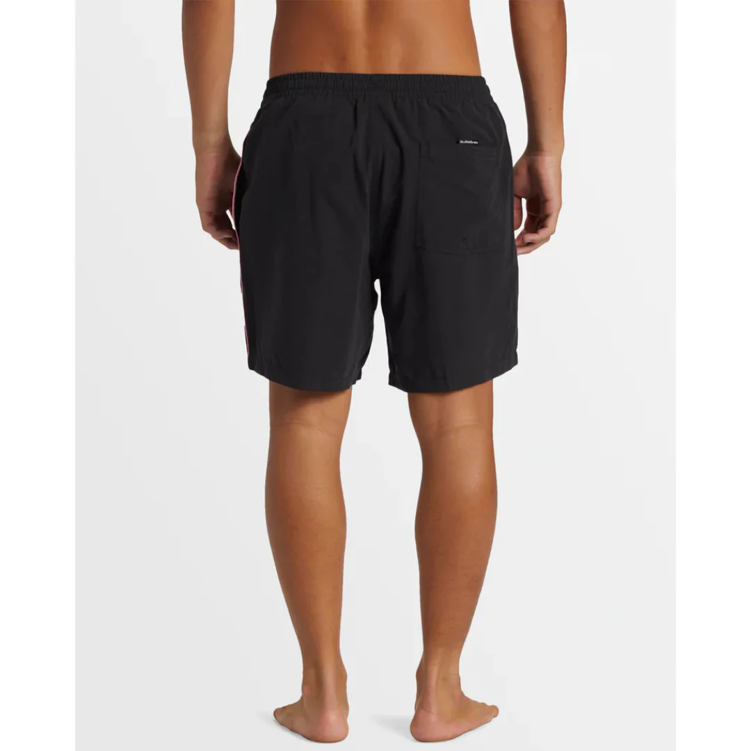 Quiksilver Men's Everyday Vert Volley 2 17NB Shorts - Image 7