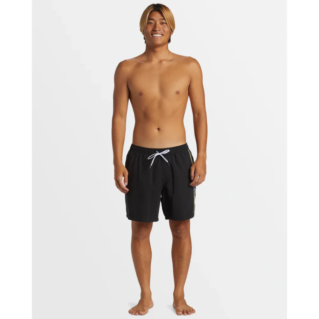 Quiksilver Men's Everyday Vert Volley 2 17NB Shorts - Image 8