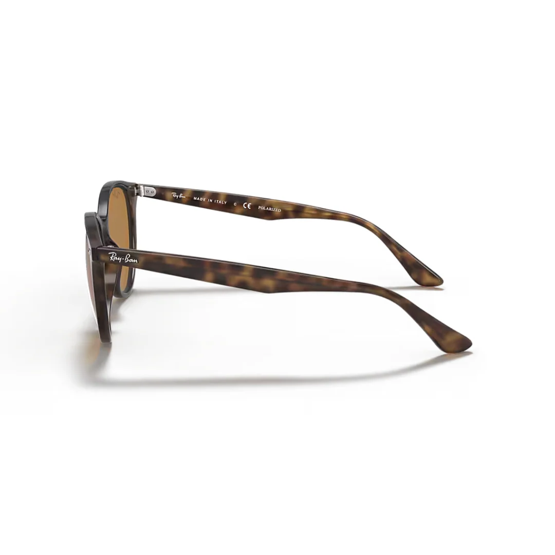 Ray Ban Light Havana with Brown - Image 3