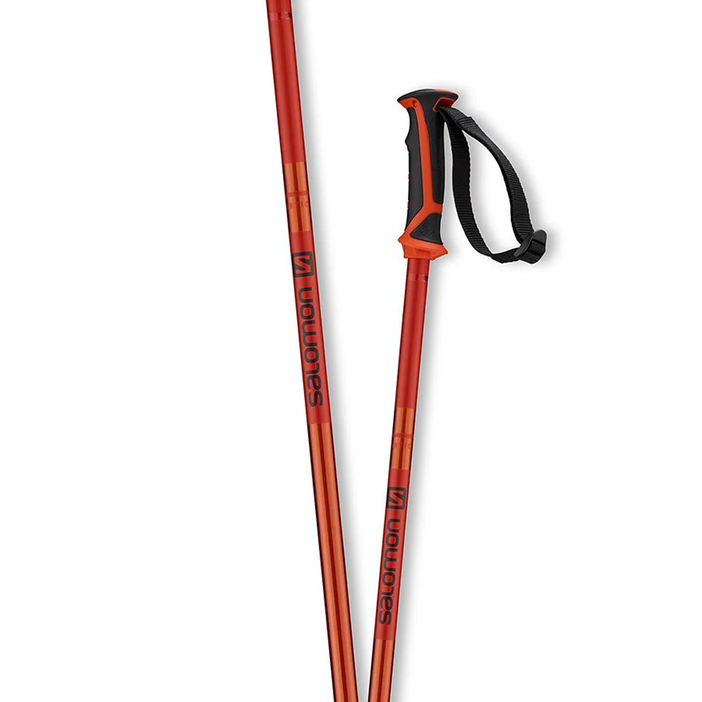 Salomon Arctic Ski Pole - Image 3