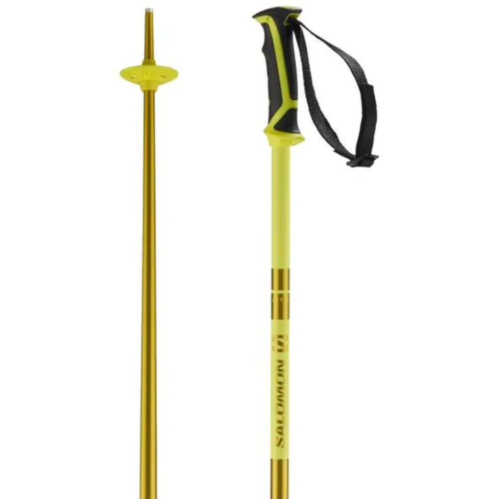 Salomon Arctic Ski Pole - Image 6